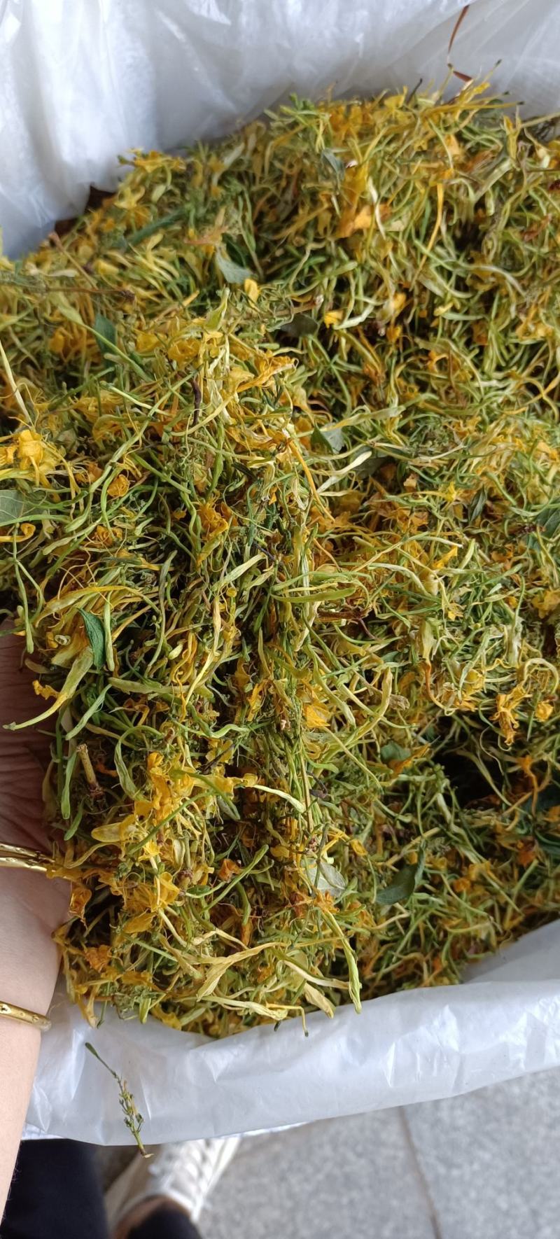 湖南金银花青茶五彩花现货供应库存充足大货批发