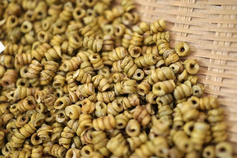 霍山铁皮石斛小颗粒精品货工艺精致现货实拍化滋补养生