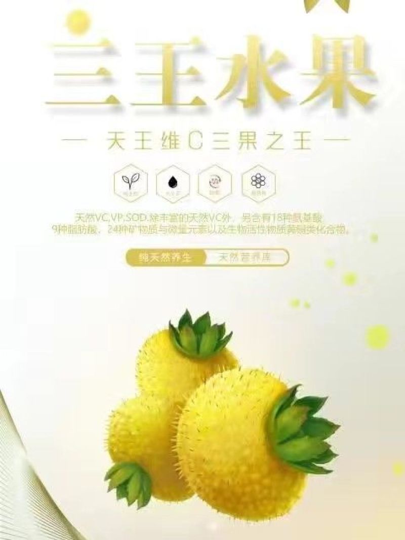 贵州六盘水特产刺梨新新鲜水果刺梨新鲜水果现摘贵州特色