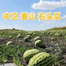 内蒙石头瓜