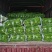 露天辣椒种植基地每天大量供应20吨精品辣椒