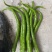 露天辣椒种植基地每天大量供应20吨精品辣椒
