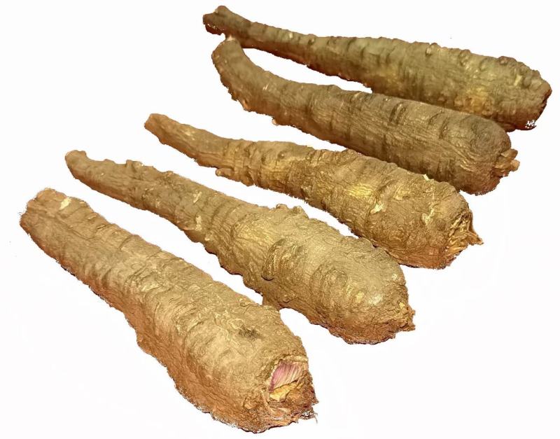 川白芷，无硫选片，各种规格等级，产地直发，质量保证