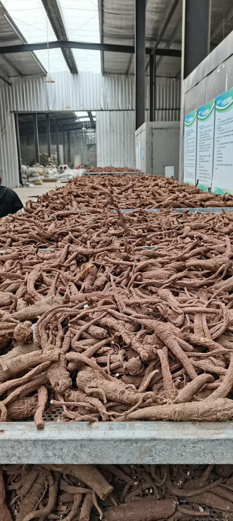 川白芷，无硫选片，各种规格等级，产地直发，质量保证
