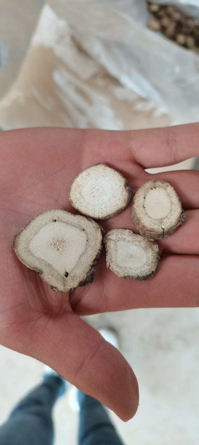 川白芷，无硫选片，各种规格等级，产地直发，质量保证