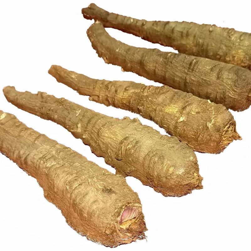 川白芷，无硫选片，各种规格等级，产地直发，质量保证