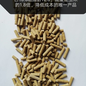 玉米糖蛋白颗粒