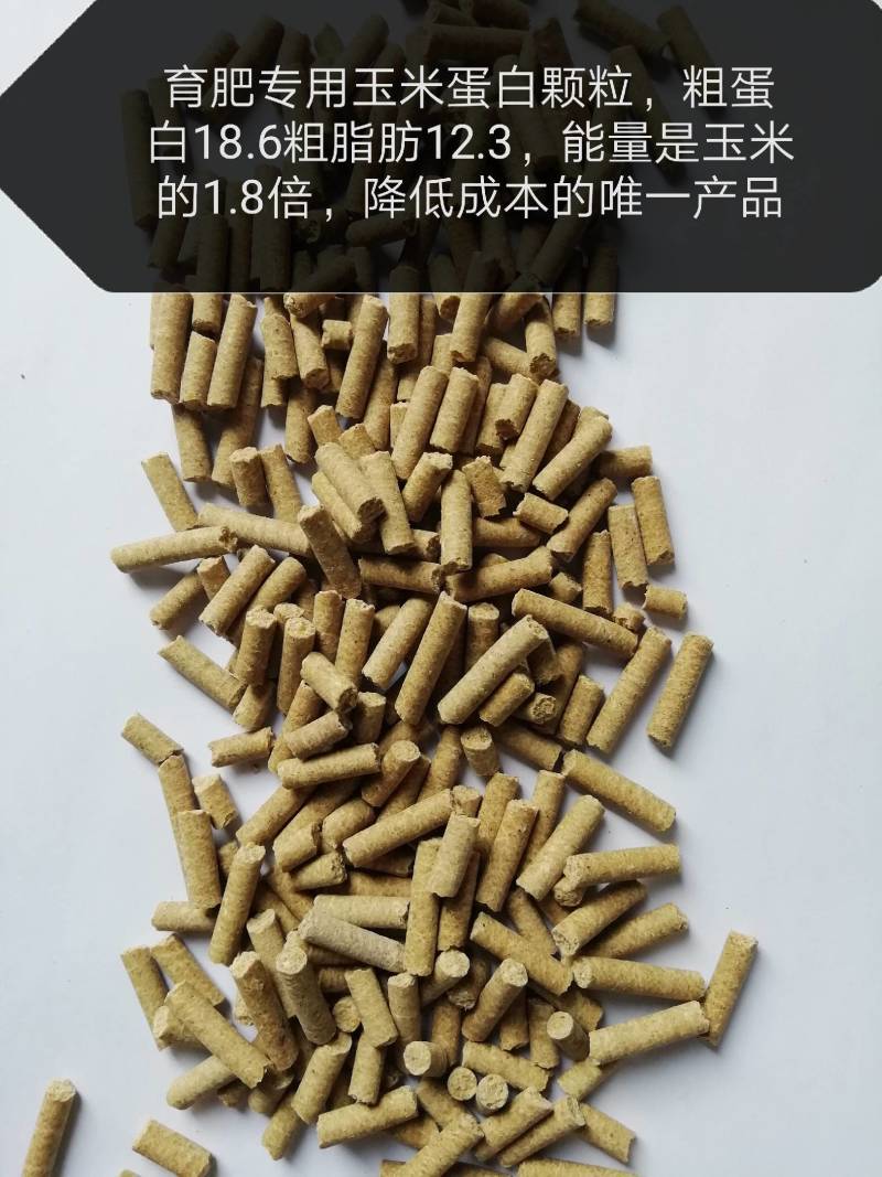 玉米糖蛋白颗粒