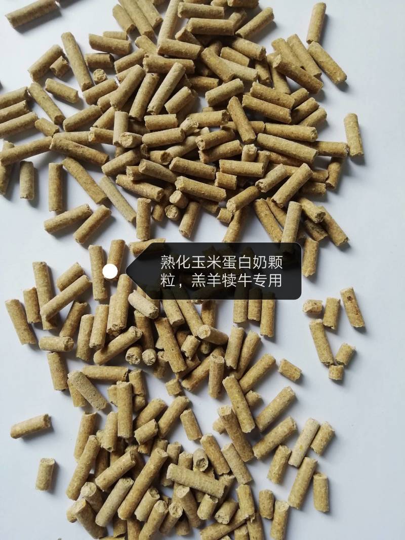 玉米糖蛋白颗粒