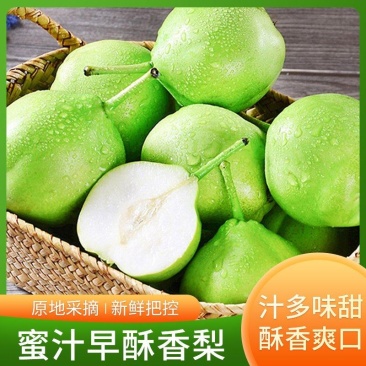 【牛商优选】山西早酥梨,清脆甘甜,产地直发,诚信经营
