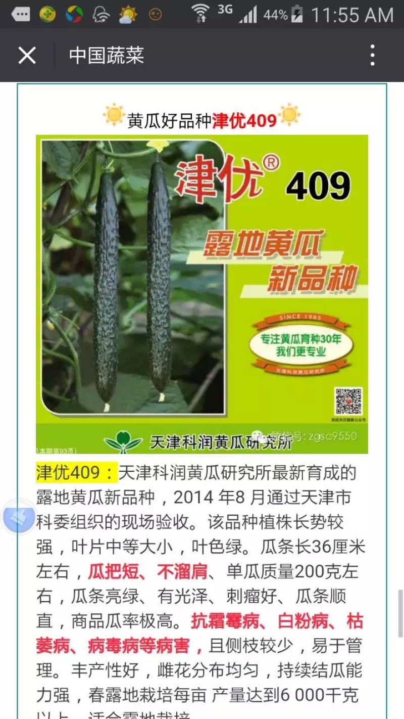 津优409：露地黄瓜、瓜条亮绿、把短条直、抗病性强