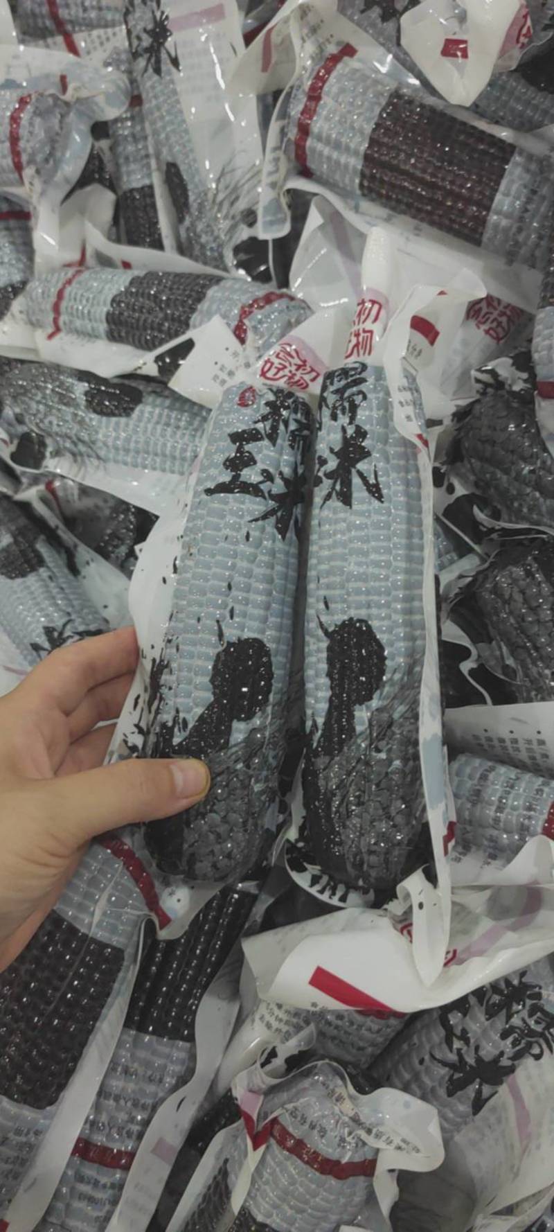 黑糯玉米棒子真空包装玉米新鲜即食对接全国市场电商