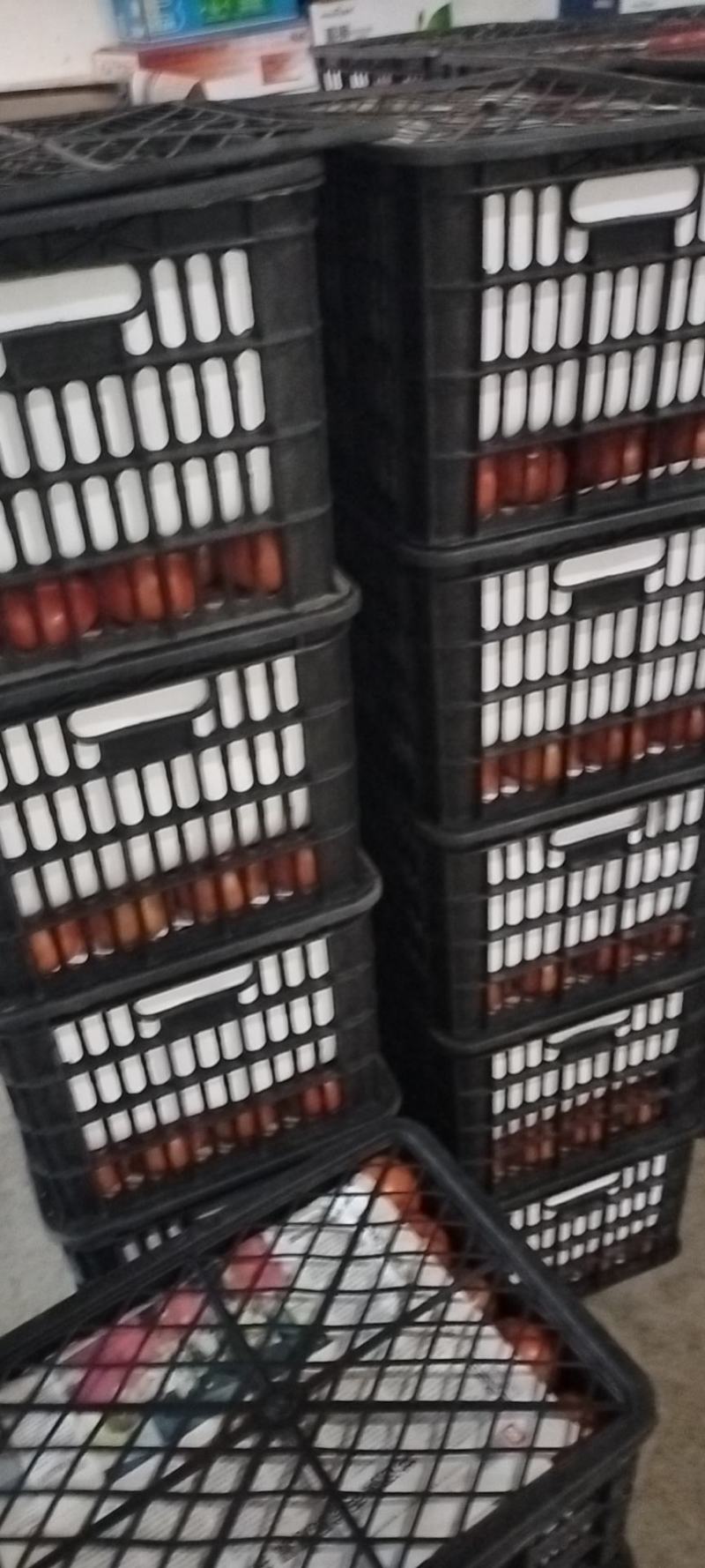高山货，高品质，优质西红柿，品质有保障诚信经营。