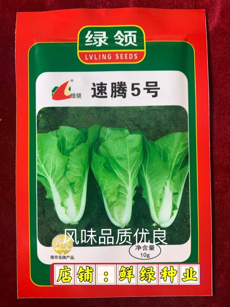 快菜品种25天左右可采收质地细腻柔软、品质好、商品性优越