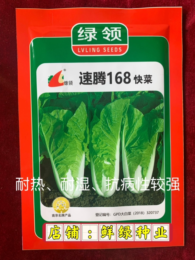 快菜品种25天左右可采收质地细腻柔软、品质好、商品性优越