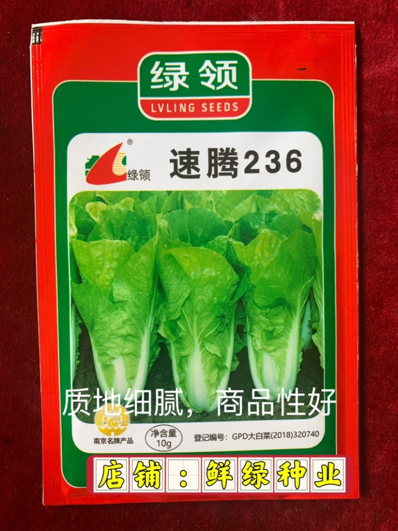 快菜品种25天左右可采收质地细腻柔软、品质好、商品性优越