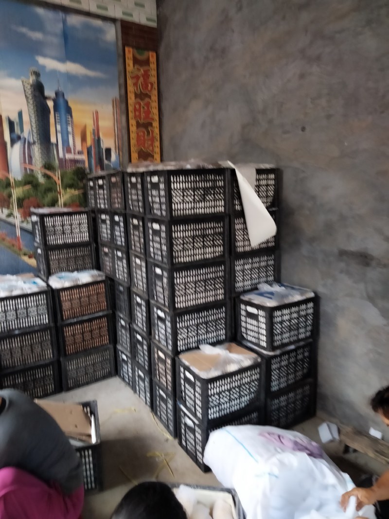 皇冠梨