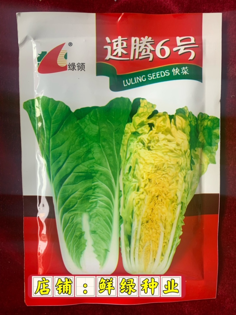 速腾苗用白菜（快菜）一代杂交种，耐热、耐湿、抗病、品质好