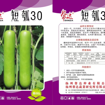 短瓠30，瓜皮绿色、果肉浅绿、肉质细嫩、品质好、商品性优
