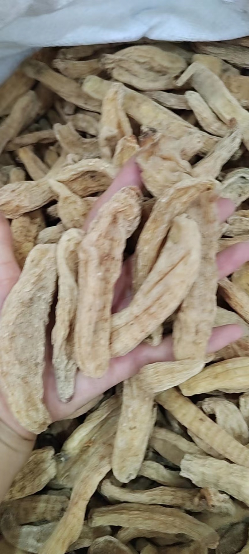天麻可煲汤泡水泡酒品质保证大量现货包邮欢迎下单