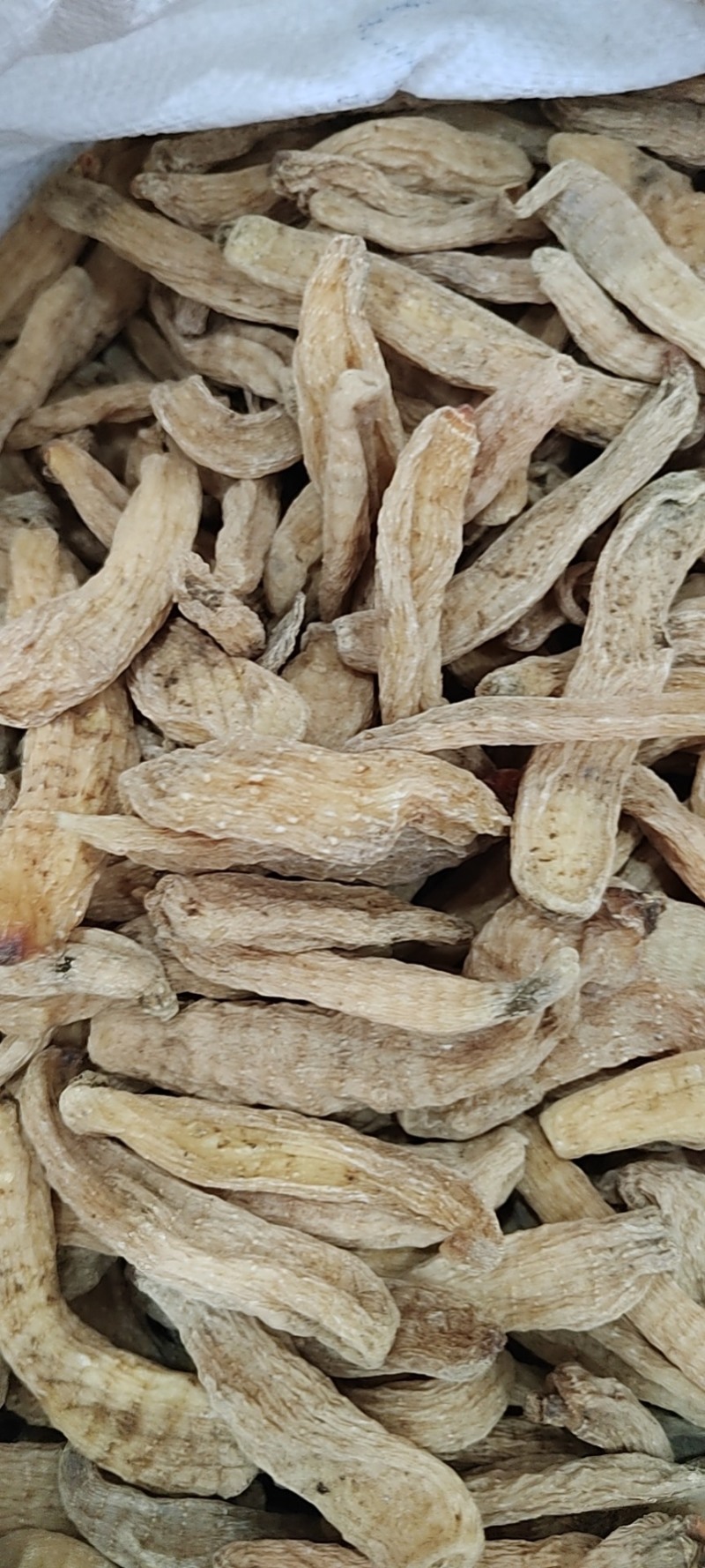 天麻可煲汤泡水泡酒品质保证大量现货包邮欢迎下单