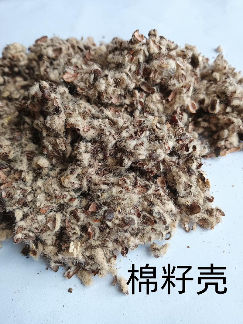 棉籽壳养殖种植菌种质量保证