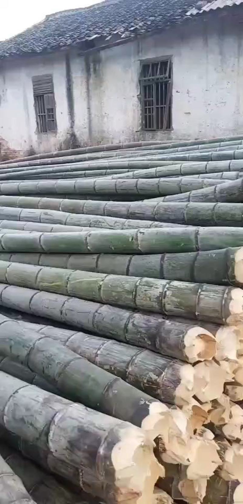 毛竹各种规格都可以做好