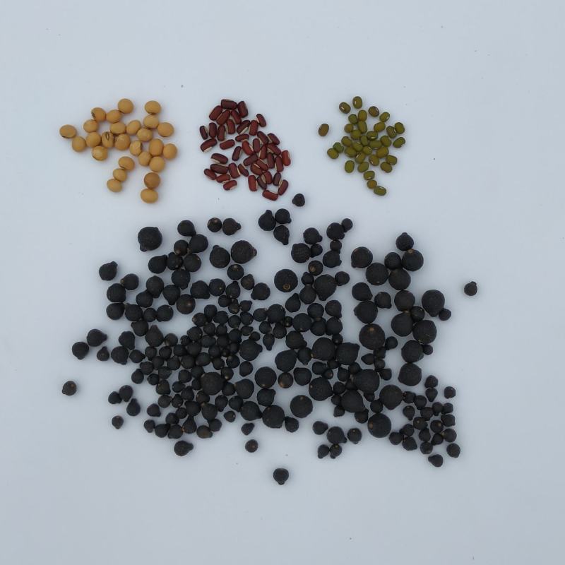 《小尺寸》柑胎小青柑茶柑普茶柑胎果茶小柑胎胎柑