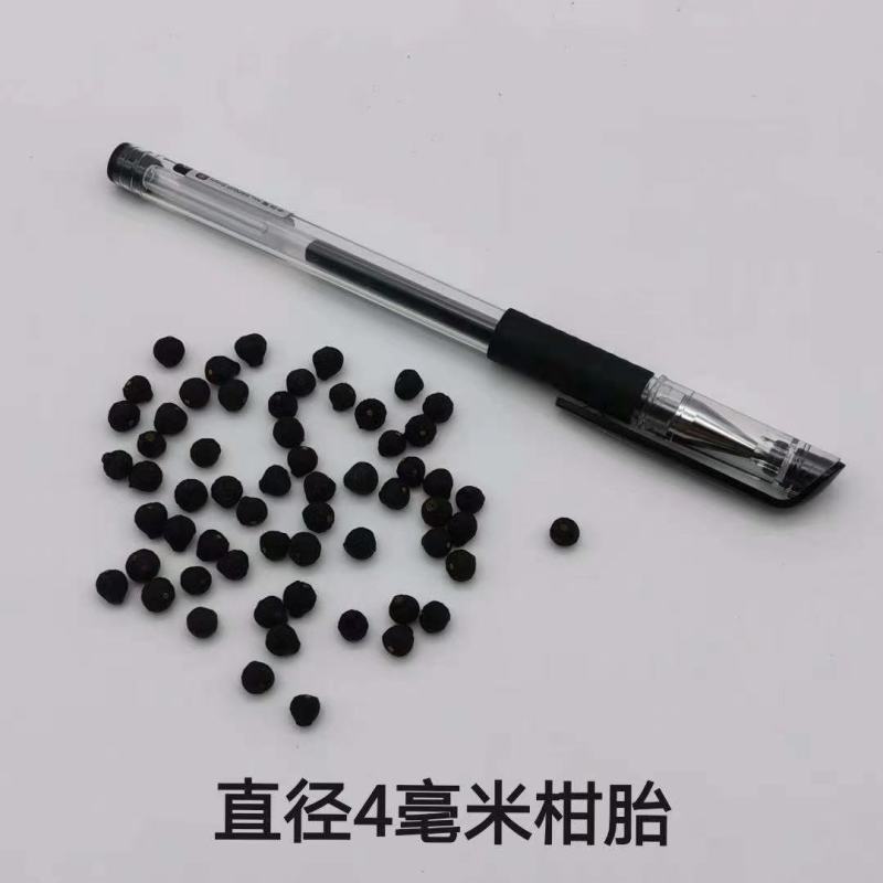 《小尺寸》柑胎小青柑茶柑普茶柑胎果茶小柑胎胎柑