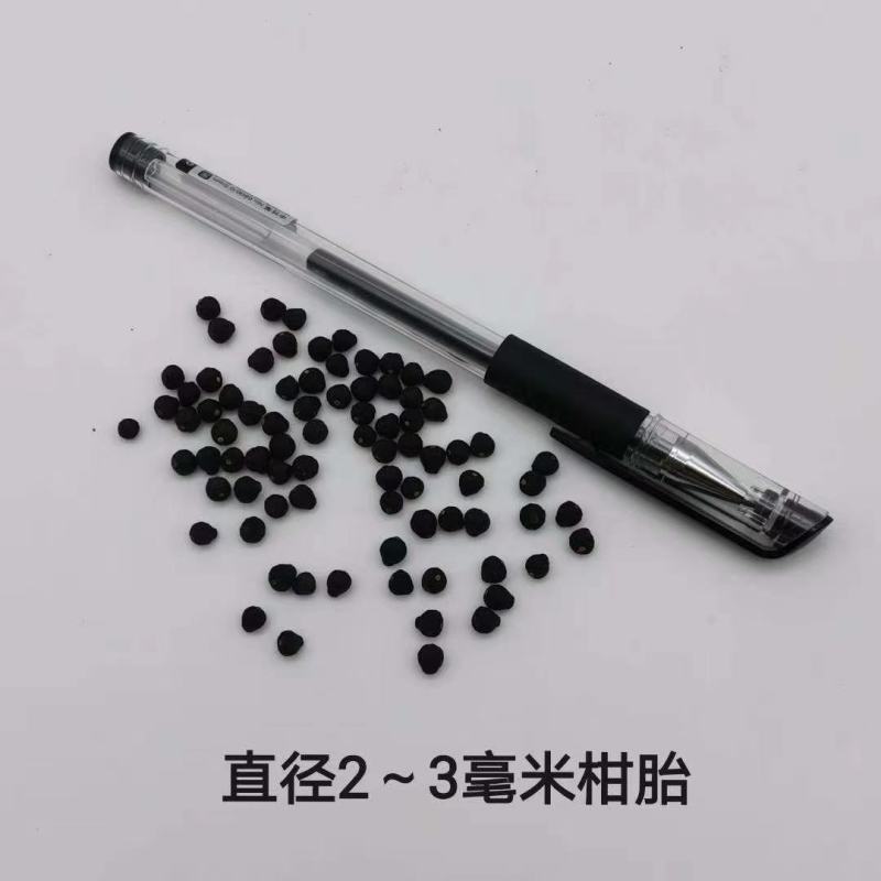《小尺寸》柑胎小青柑茶柑普茶柑胎果茶小柑胎胎柑