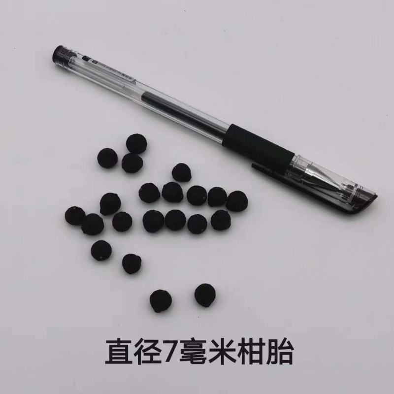 《小尺寸》柑胎小青柑茶柑普茶柑胎果茶小柑胎胎柑