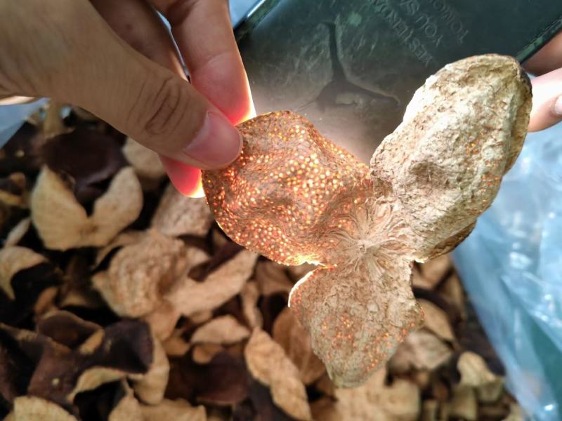 新会纯干仓新会天马10年老陈皮陈皮干橘子皮厂家批发