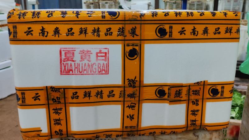 出口黄白云南夏黄白精品白菜昆明白菜