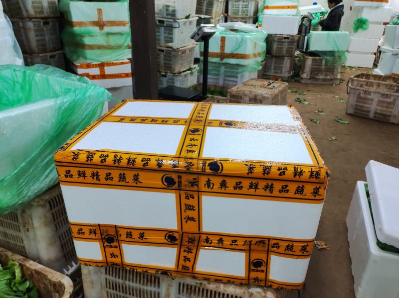 出口黄白云南夏黄白精品白菜昆明白菜