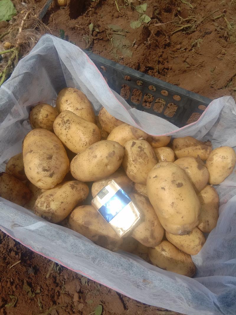 适合电商平台土豆:质量保证价格低，无伤残品种齐全。