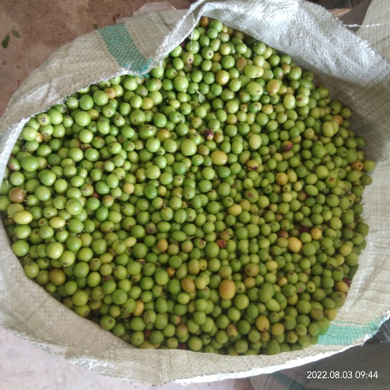 野酸枣皮薄胡大仁儿饱，价格美丽，欢迎骚扰