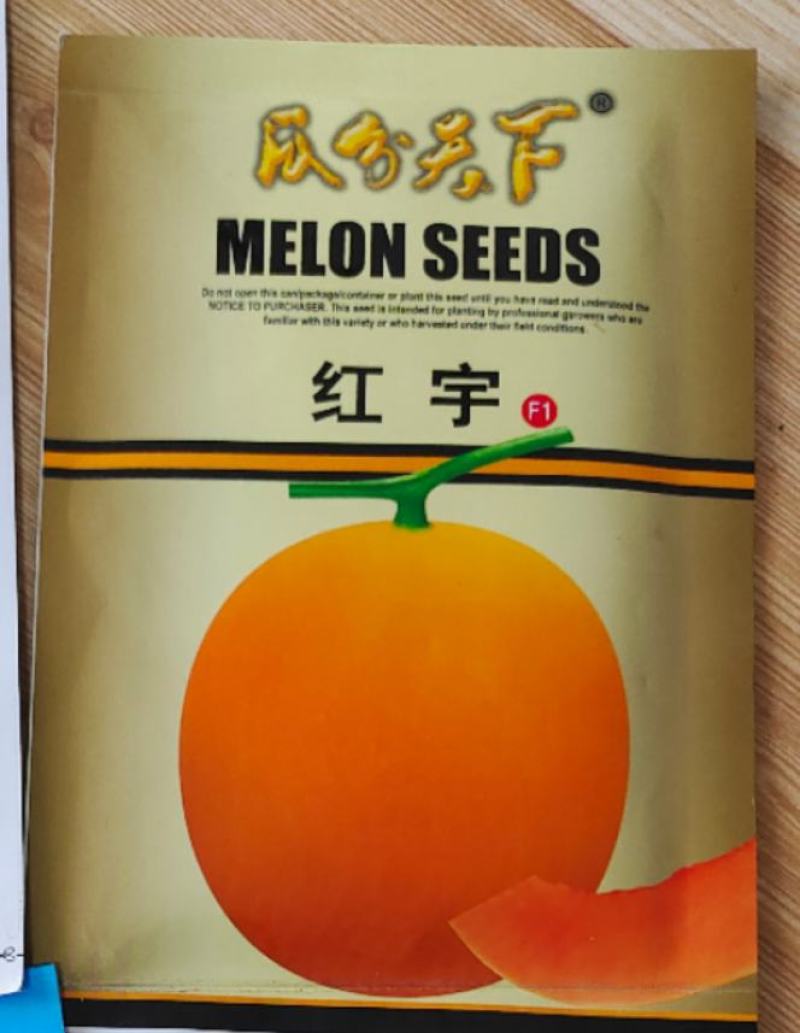 黄光皮橘红肉甜瓜种子汁多爽口抗病性强耐储运