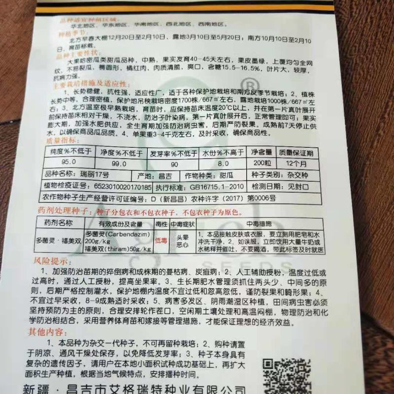 绿皮细网纹桔肉甜瓜种子瑞丽17号抗病性强产量高