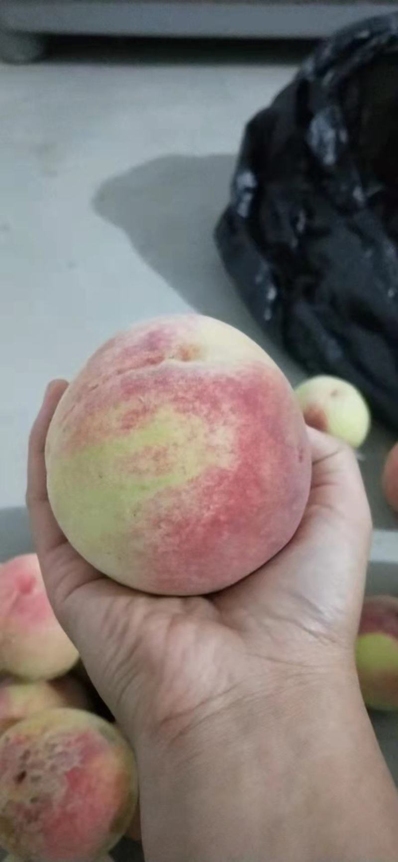 北京十四号毛病
