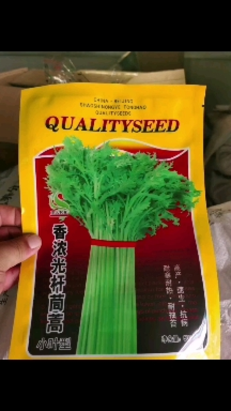 光杆茼蒿种子小叶四季皇帝茼蒿菜种
