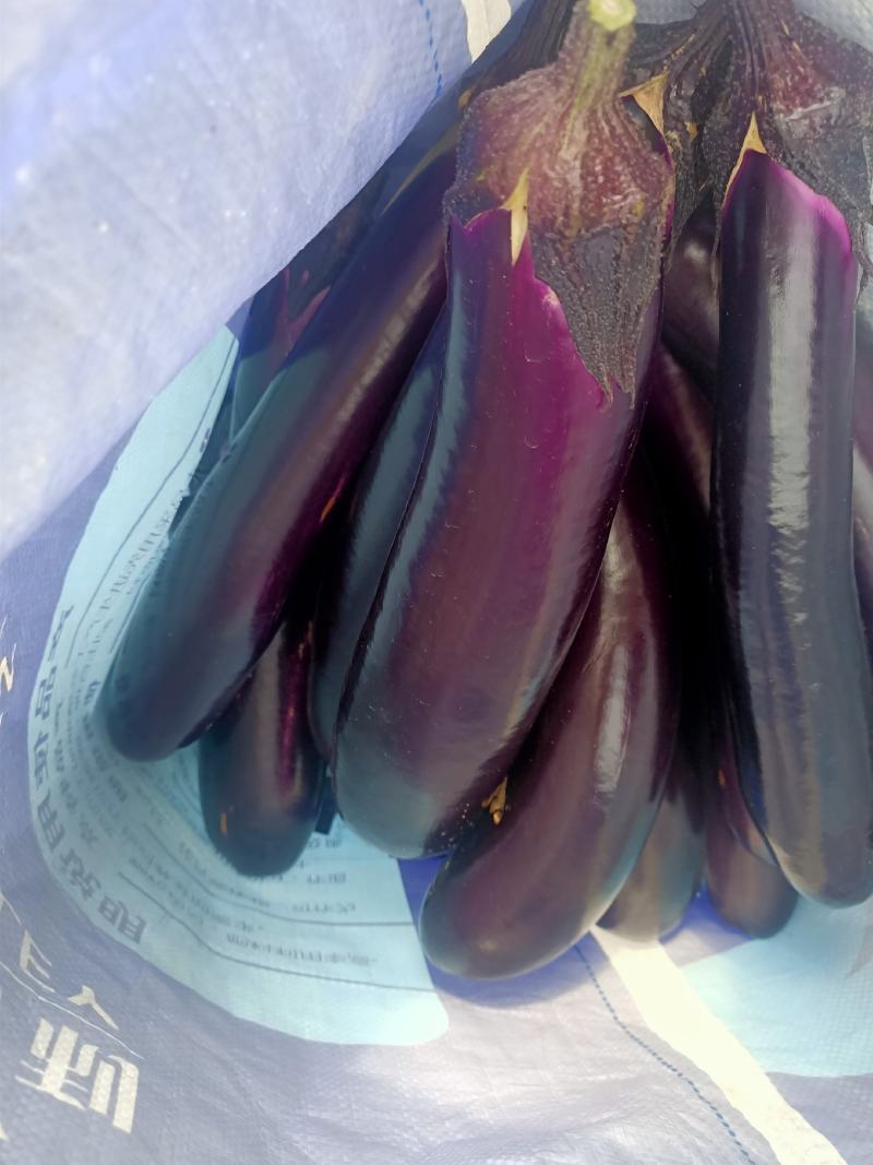 烧烤茄子