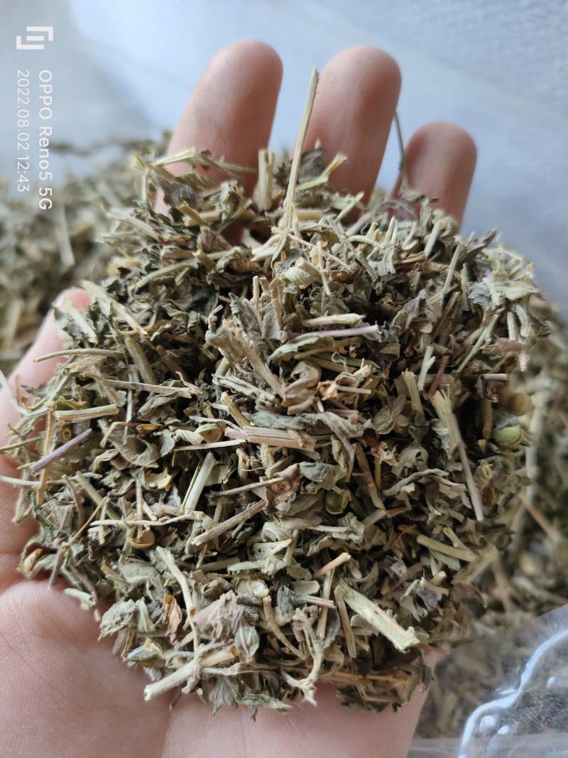 （热销）珍珠透骨草透骨草实物拍摄地道药材祥泰药材栈欢