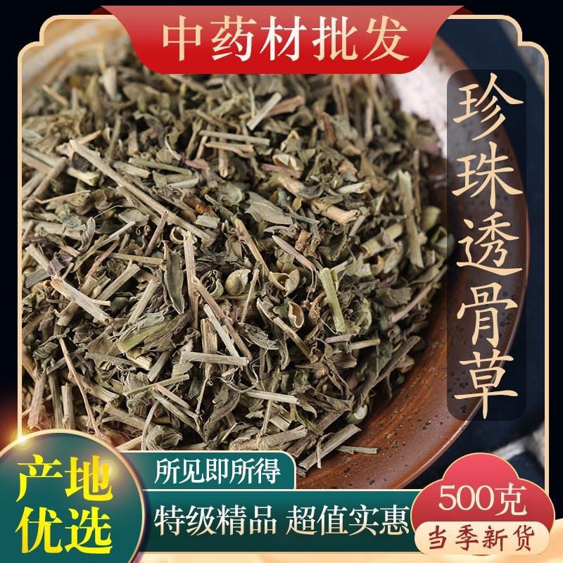 （热销）珍珠透骨草透骨草实物拍摄地道药材祥泰药材栈欢