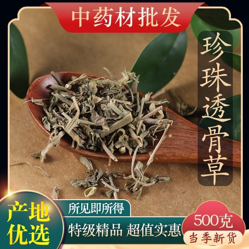 （热销）珍珠透骨草透骨草实物拍摄地道药材祥泰药材栈欢
