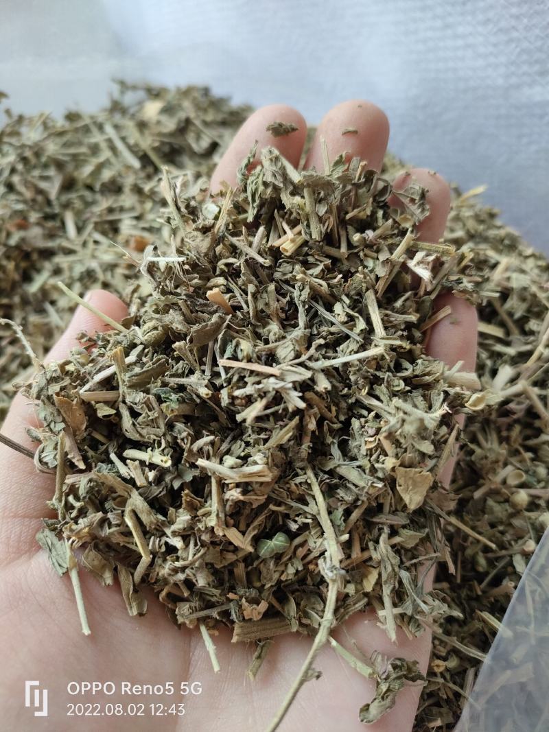 （热销）珍珠透骨草透骨草实物拍摄地道药材祥泰药材栈欢