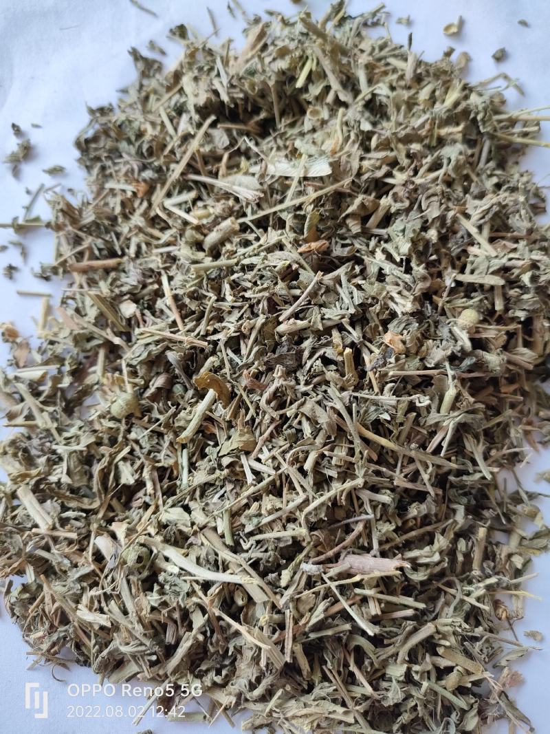 （热销）珍珠透骨草透骨草实物拍摄地道药材祥泰药材栈欢