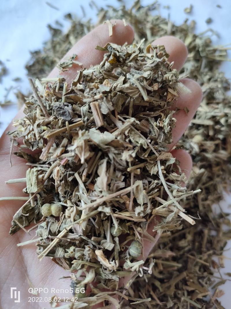 （热销）珍珠透骨草透骨草实物拍摄地道药材祥泰药材栈欢