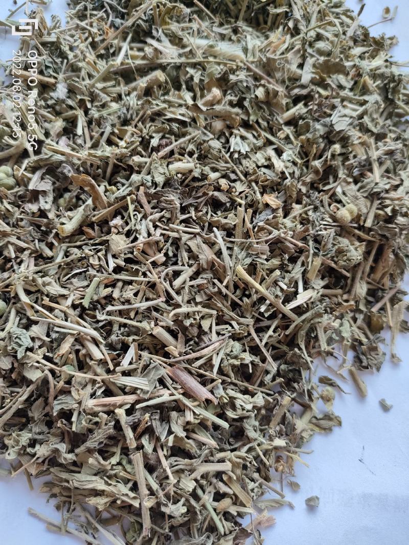 （热销）珍珠透骨草透骨草实物拍摄地道药材祥泰药材栈欢