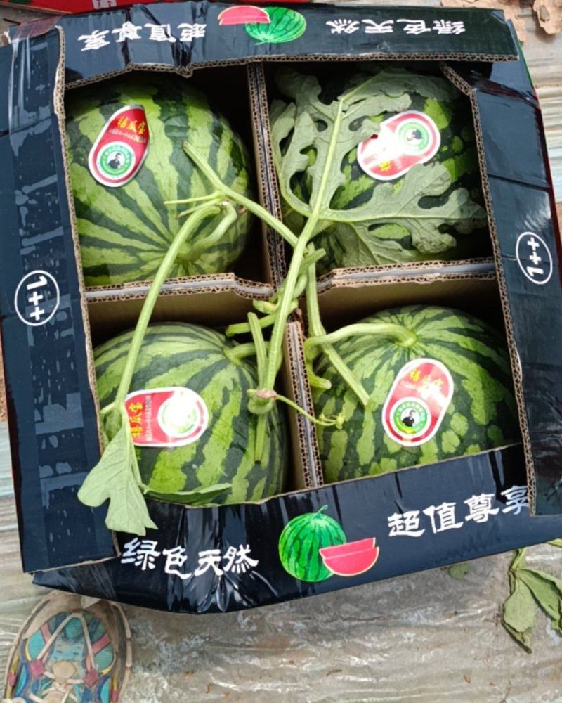 庆阳美度西瓜