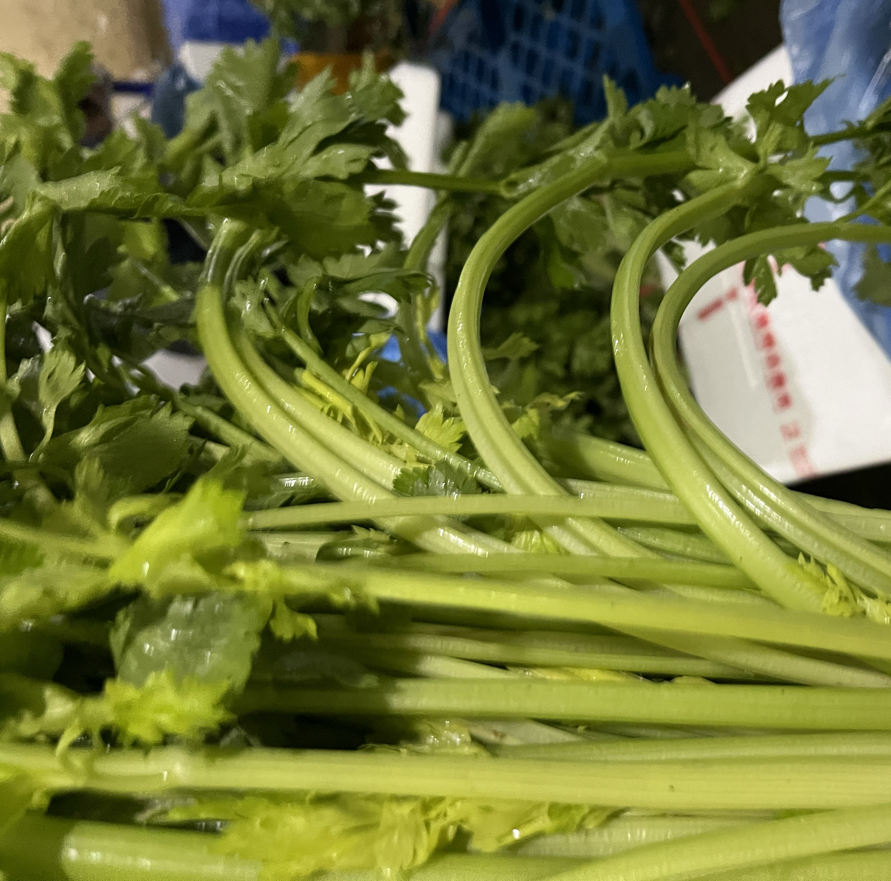 芹菜食谱搭配图